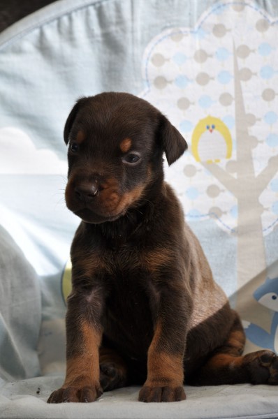 Photo de profil de nath71