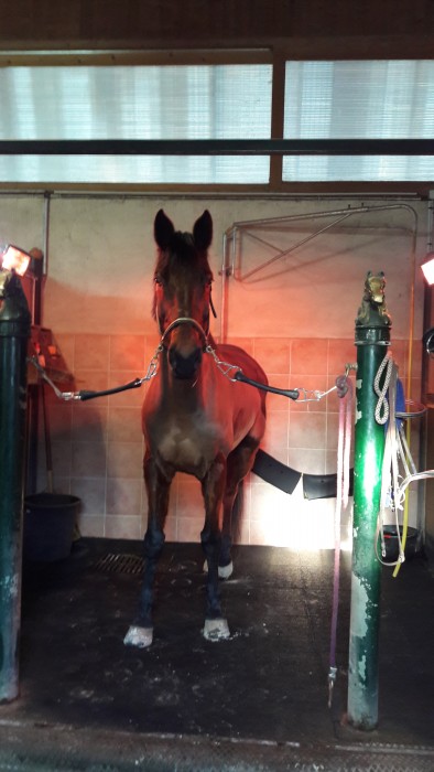 Photo de profil de nathou.rebel