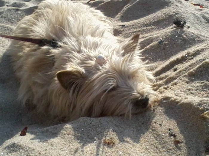 Photo de profil de needadollar