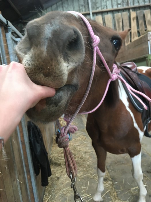 Photo de profil de neeymo