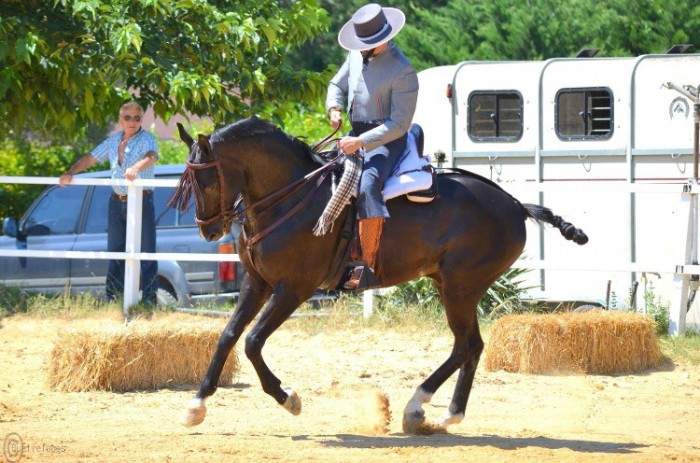 Photo de profil de neneguzzi