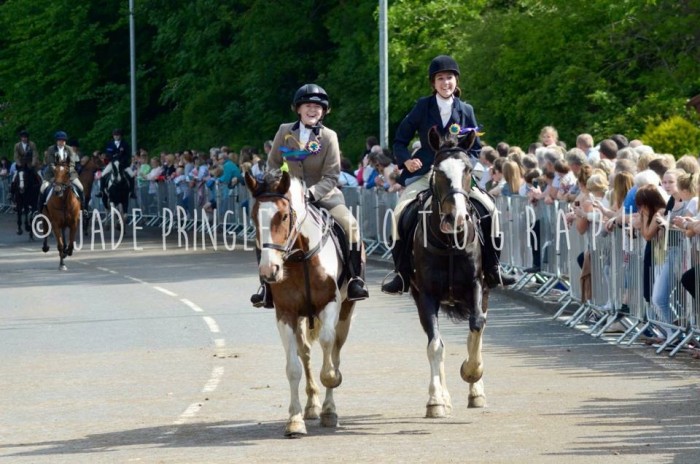 Photo de profil de nicole.l