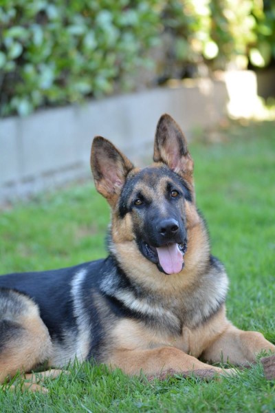 Photo de profil de nikon10