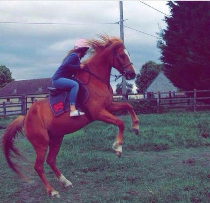 Photo de profil de nolwenn2812