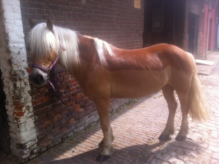 Photo de profil de nonoisa59