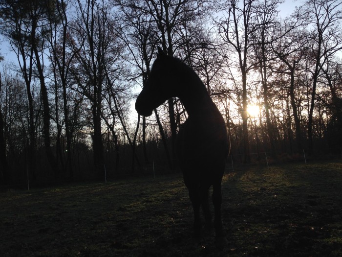 Photo de profil de nox2002