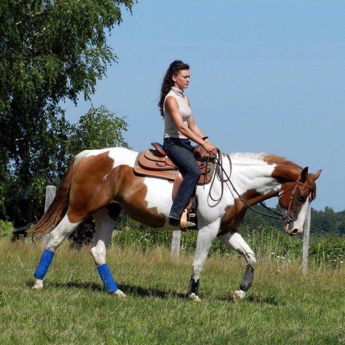 Photo de profil de nswestern