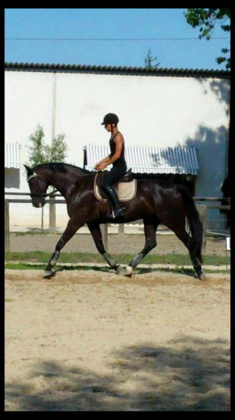 Photo de profil de ntonio13200