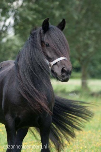 Photo de profil de nyla87