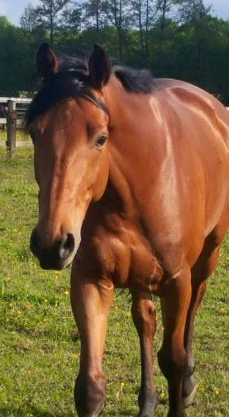 Photo de profil de oanaisf