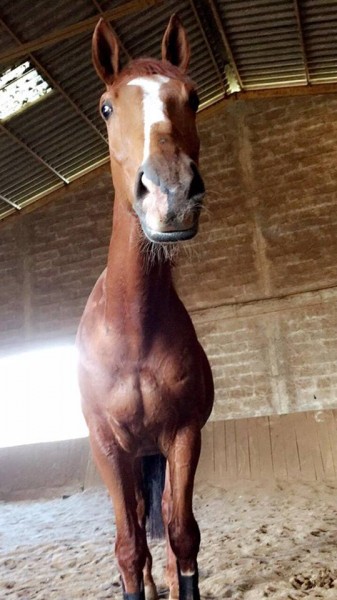 Photo de profil de ocee86