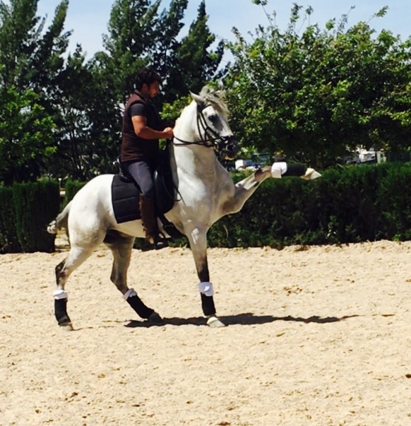 Photo de profil de ofelia