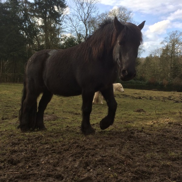 Photo de profil de oliii24