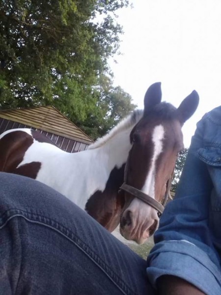 Photo de profil de oly85