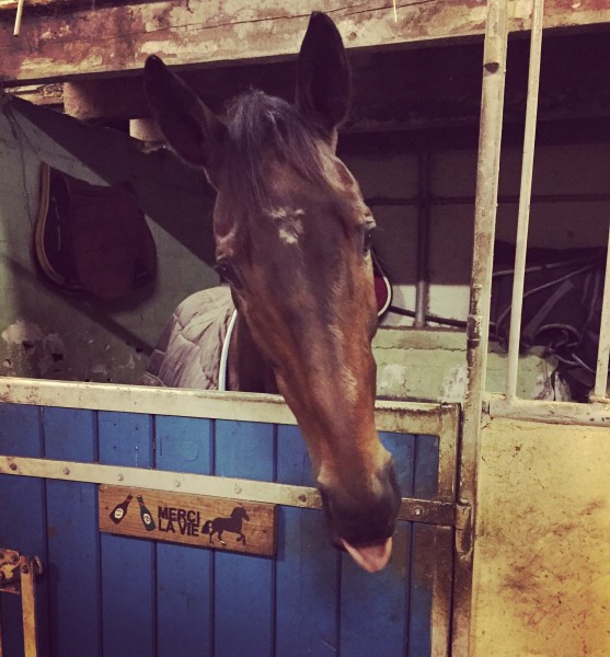 Photo de profil de onstance.l