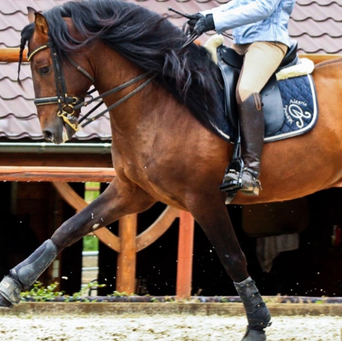 Photo de profil de ontainec