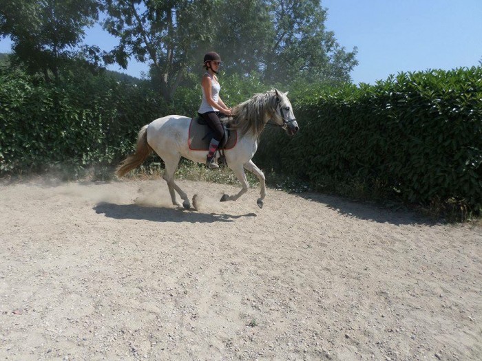 Photo de profil de oranedpt