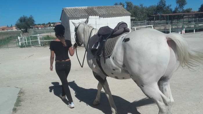 Photo de profil de oreoxy