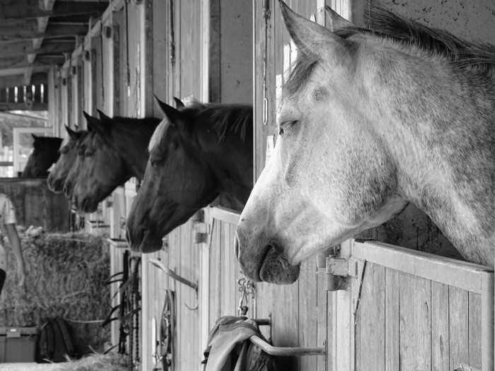 Photo de profil de oriane72650