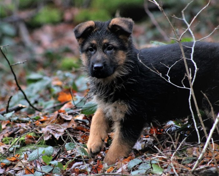 Photo de profil de orlane.mlt