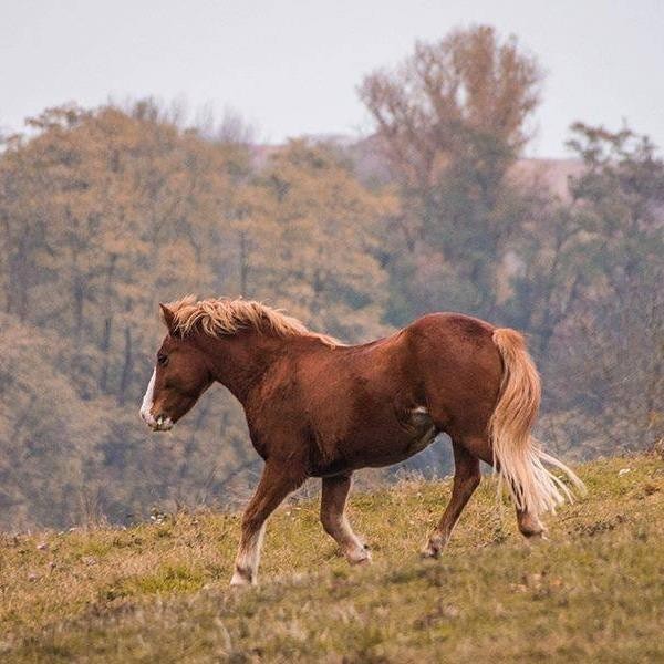 Photo de profil de osultan