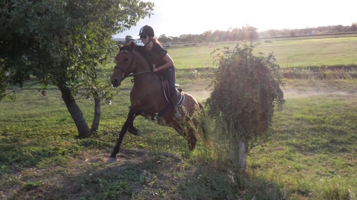 Photo de profil de ouliram