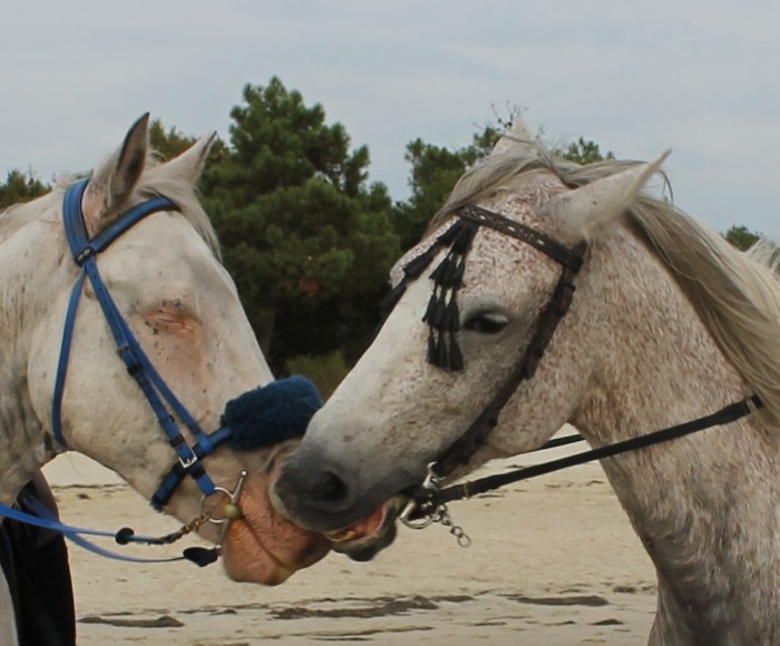 Photo de profil de paillette33