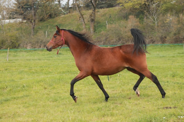 Photo de profil de palmystaa