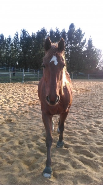 Photo de profil de panda2403