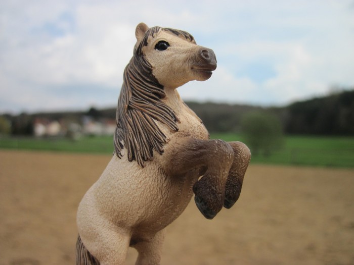 Photo de profil de pandoraschleich