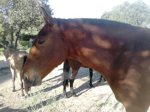 Photo de profil de pascaleu