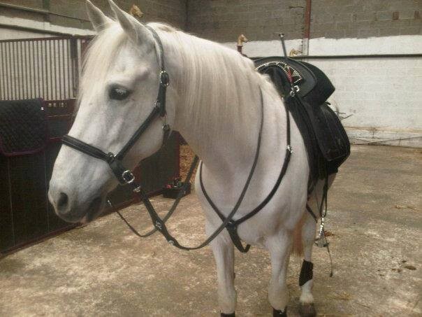 Photo de profil de pat854