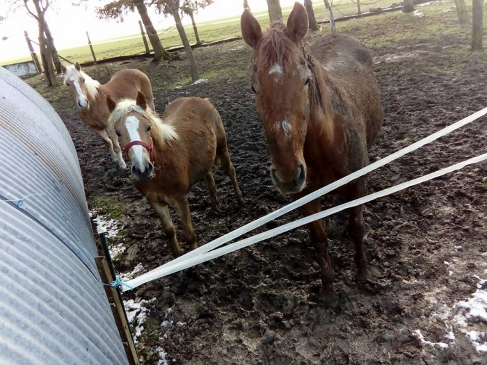 Photo de profil de pauline.10