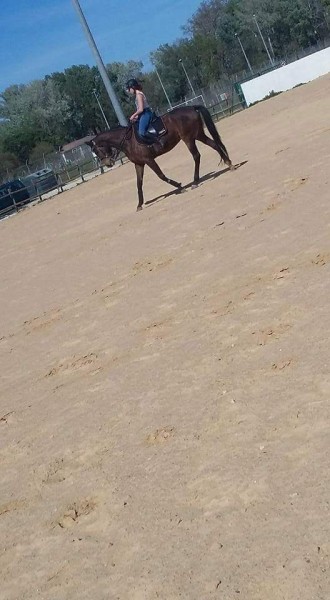 Photo de profil de paulinebaya