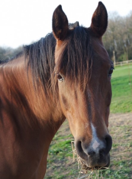 Photo de profil de perrine.aballea