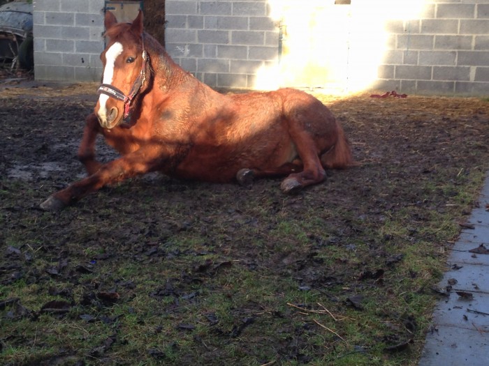 Photo de profil de perrinelili