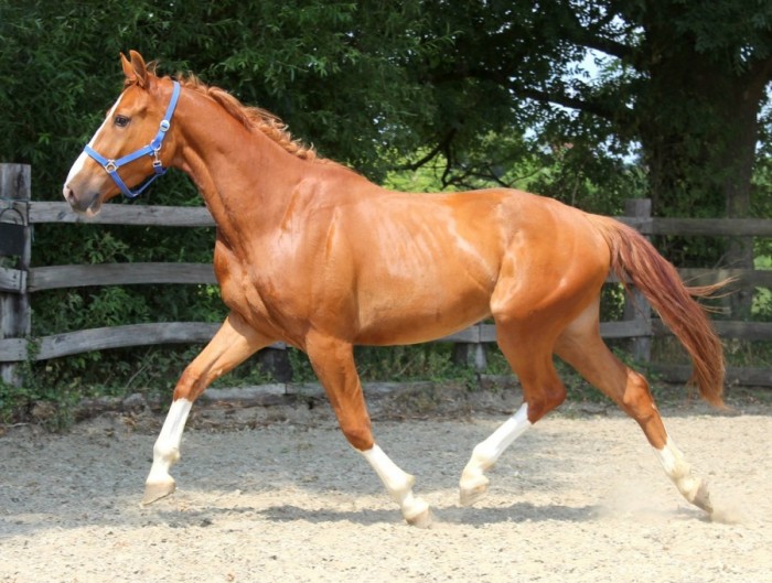 Photo de profil de peters