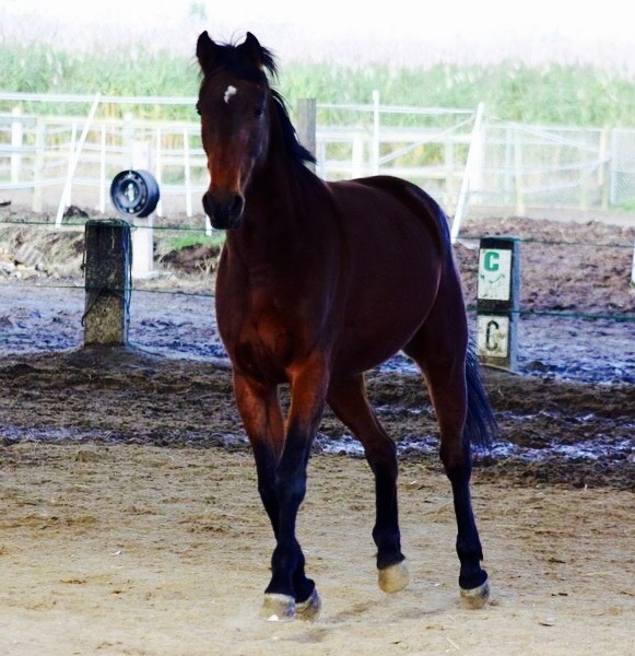 Photo de profil de petitponeysympa