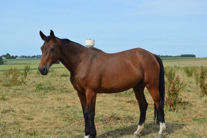 Photo de profil de phi.l62