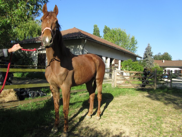 Photo de profil de philippedombes
