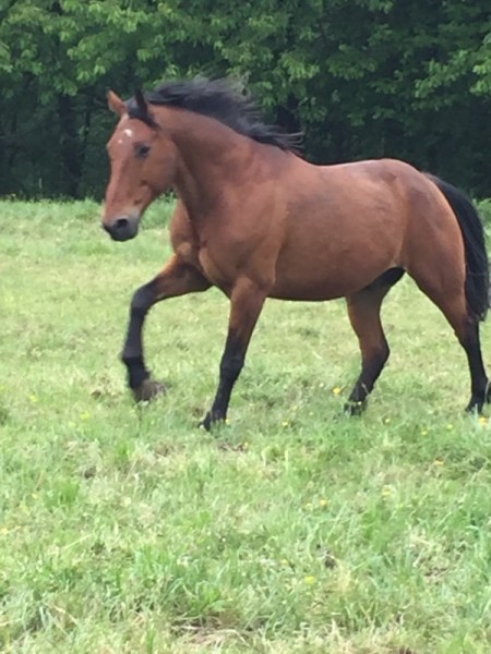 Photo de profil de mathieuthedog