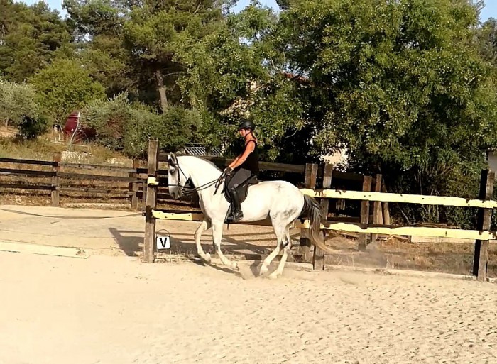 Photo de profil de babouandgus