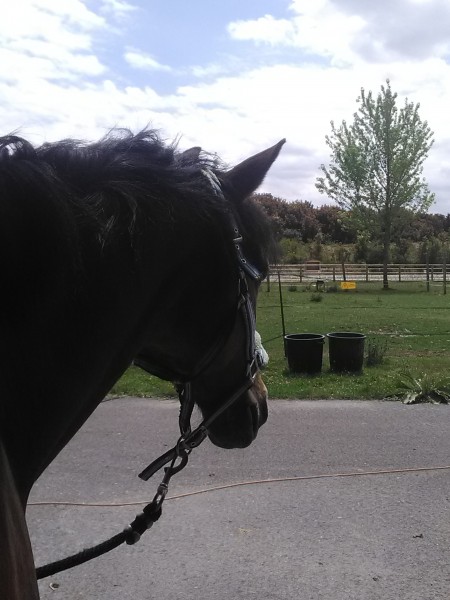 Photo de profil de lavande_et_timo