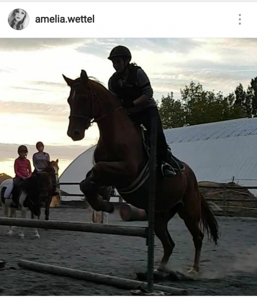 Photo de profil de kilari