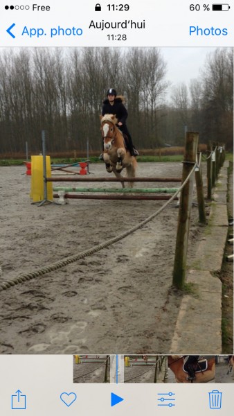 Photo de profil de elisa.dlz