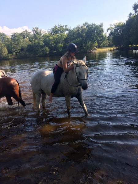 Photo de profil de indigo_et_moi