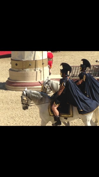 Photo de profil de rosecheval