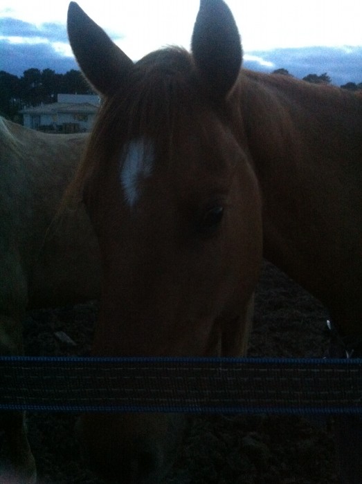 Photo de profil de manon80260