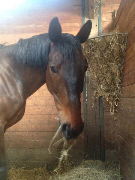 Photo de profil de sarahlandormy