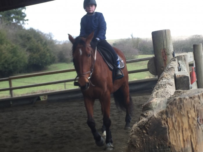 Photo de profil de mlle_noelie